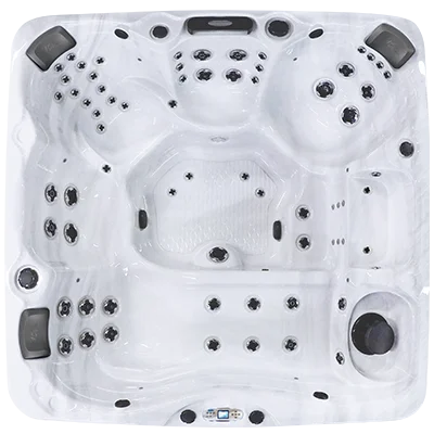 Avalon EC-867L hot tubs for sale in Columbia