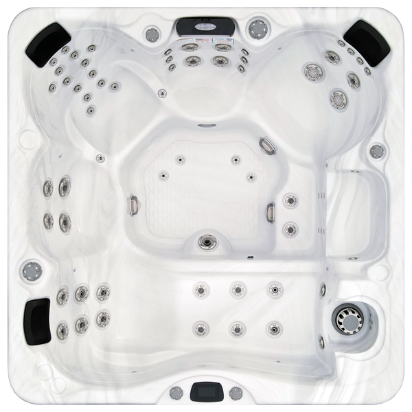 Avalon-X EC-867LX hot tubs for sale in Columbia